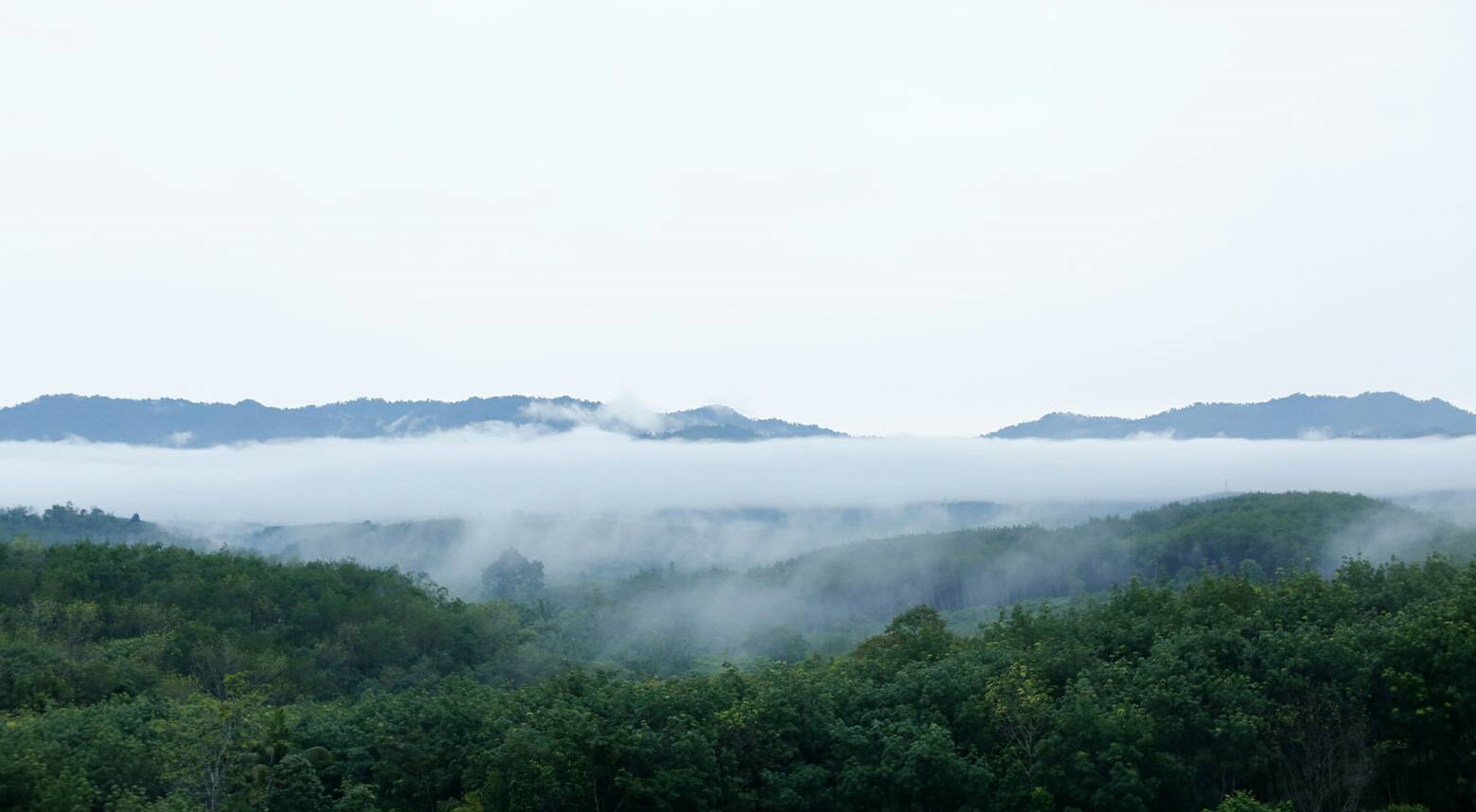 image6